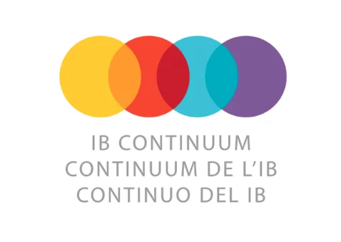 IB-Continuum