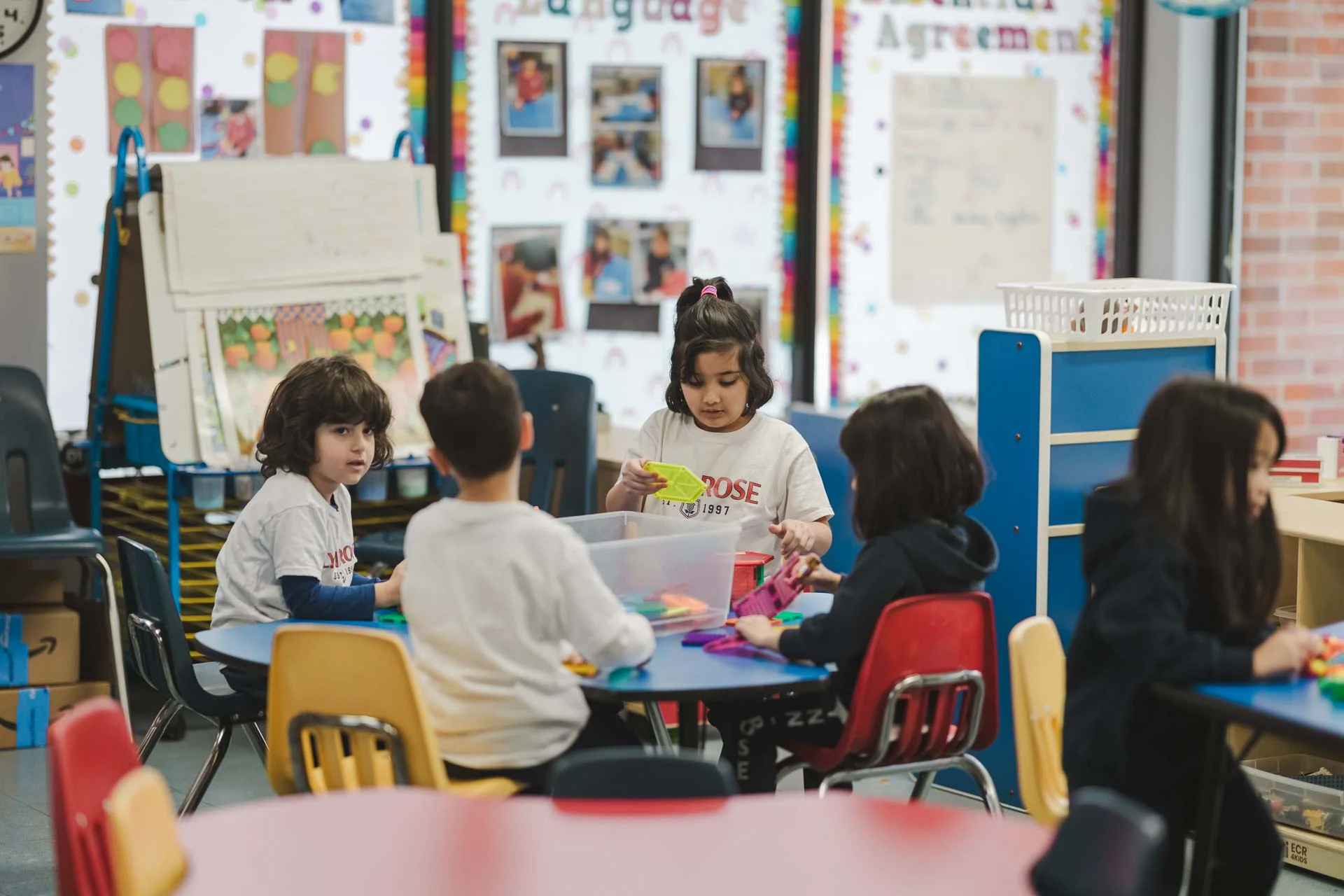 Social Studies & Global Citizenship