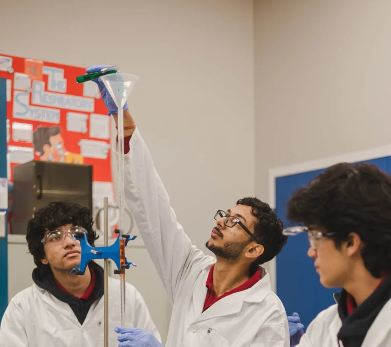 Homestay and international student support