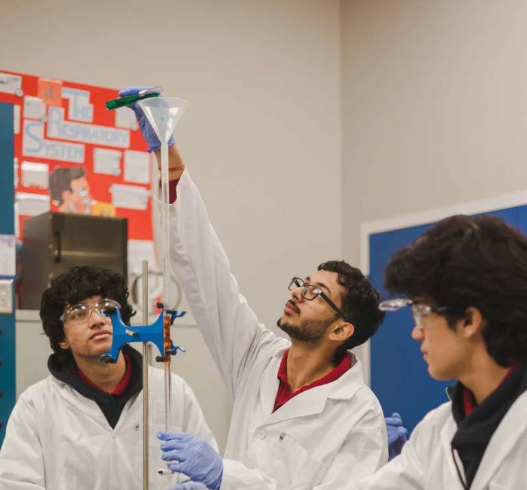 Homestay and international student support