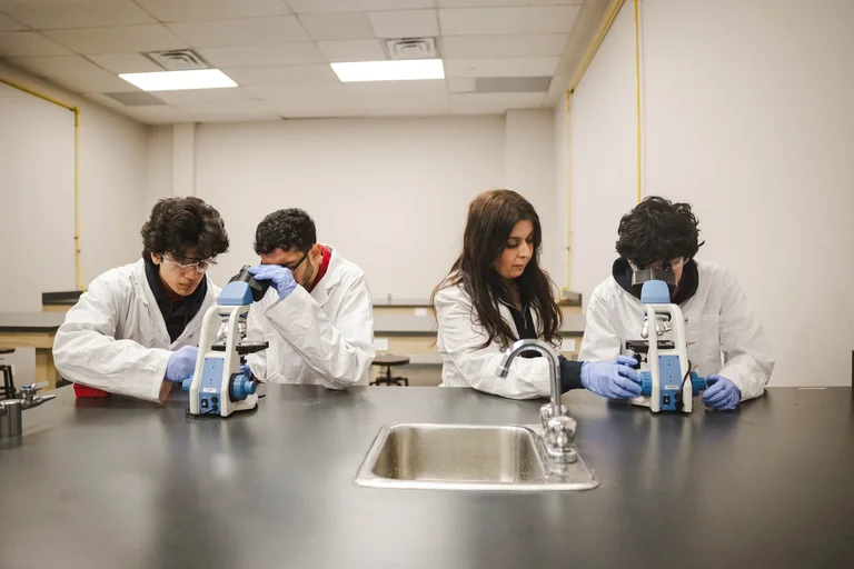 Academic achievement