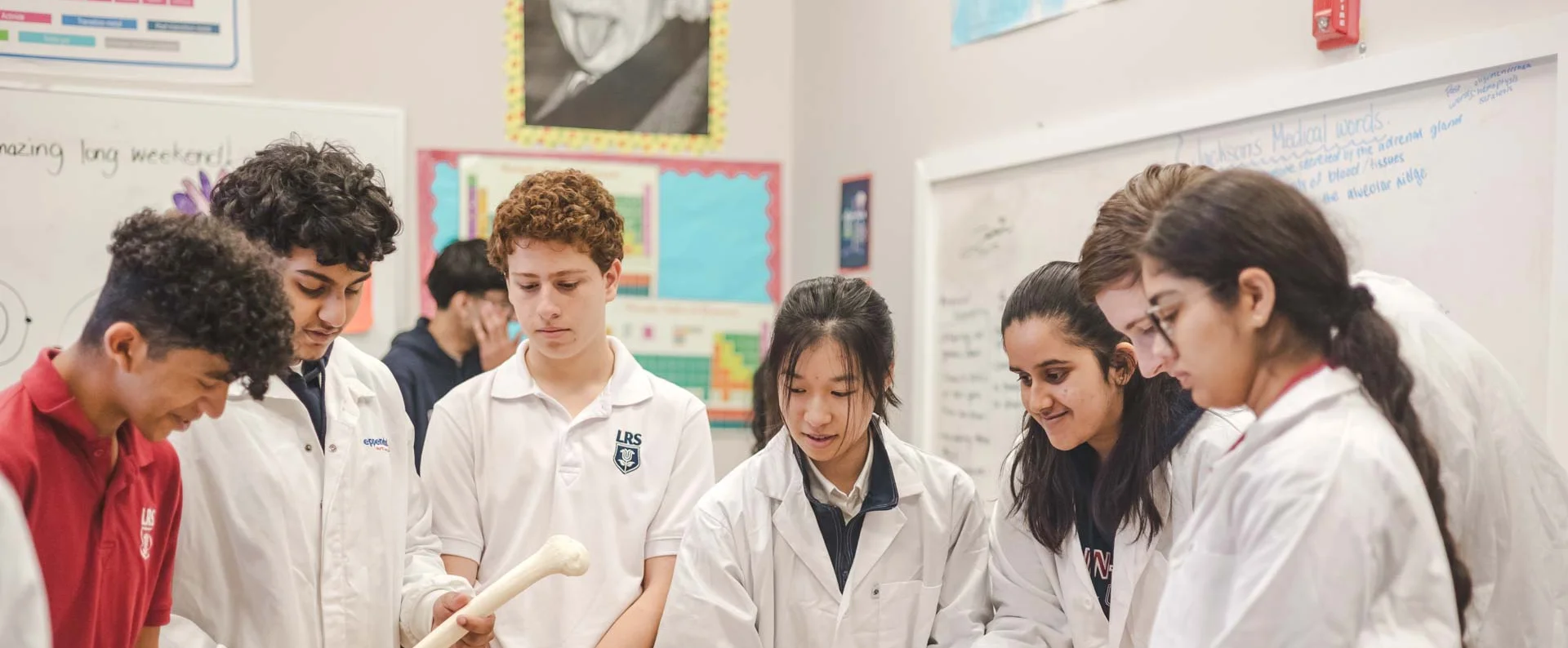 IB Diploma Programme