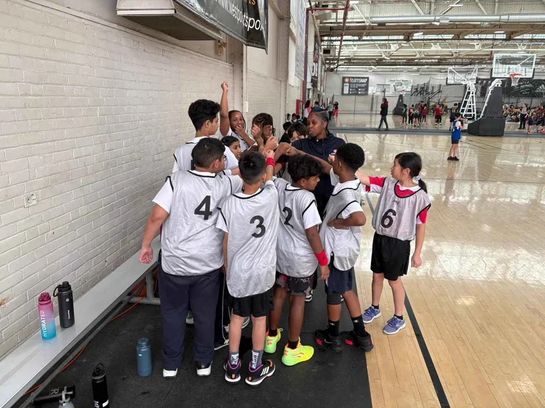 Sports Competitions (SSAF)